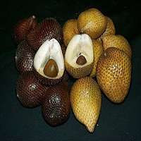 snake fruit